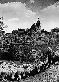 Schindelschmuck im mittleren Erzgebirge – Clausnitz, Willy-Häusler-Weg 1