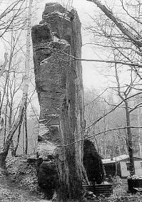 In der Nähe eines aufgelassenen Steinbruch-Abbaufeldes in der Sächsischen Schweiz befindet sich die stehengebliebene Sandsteinwand BUCH