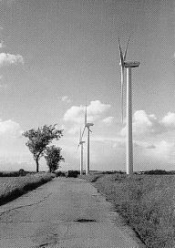 Windenergienutzung und Naturschutz im Freistaat Sachsen – Nutzung des bestehemden Wegenetzes zur Zuwegung, Minimierung des Landschaftseingriffs