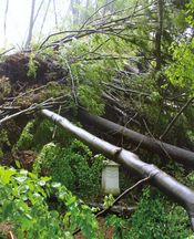 Der Landschaftsgarten Seifersorfer Tal, der Tonado zerstörte große Teile des Tales