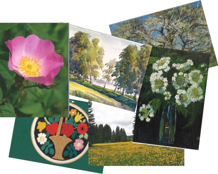 Postkarten Landesverein Frühjahr/Sommer