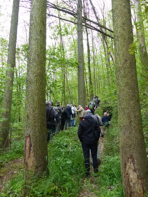 Sonntagsexkursion Döbelner Umland, Geologie, Archeologie, Naturschutz, Foto: Jean-Pierre Kunath