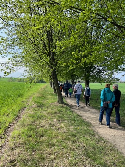 Wanderung durch das Seifersdorfer Tal, Foto: Dr. Petra Westphalen