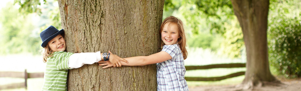 Zwei Kinder umgreifen einen dicken Baum und halten sich an den Händen