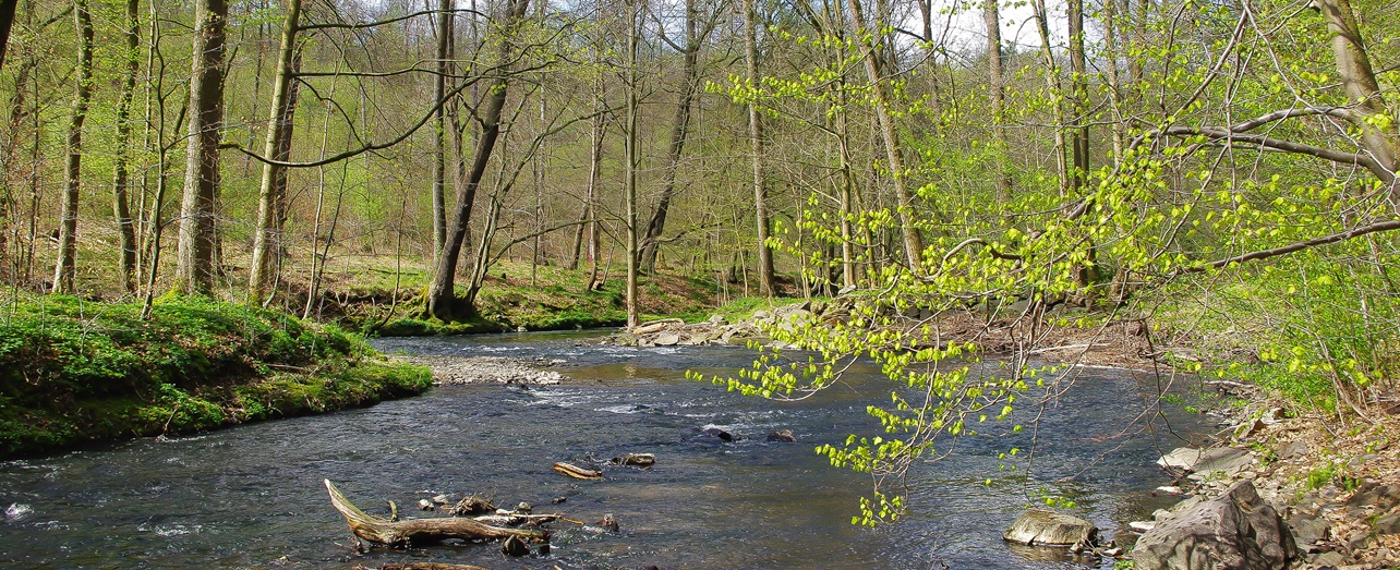 Seifersdorfer Tal, Foto: Dr. Olaf Bastian