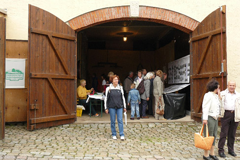 Die Ausstellung zum 200. Geburtstag der Babisnauer Pappel im Dreiseithof der Familie Ruhtz in Babisnau, dem ehemaligen Beck´schen Hof.Foto: Herr Lösch