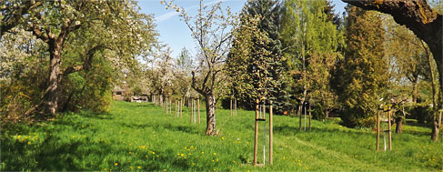 Streuobstwiese Possendorf, Foto: Veronica Teicher